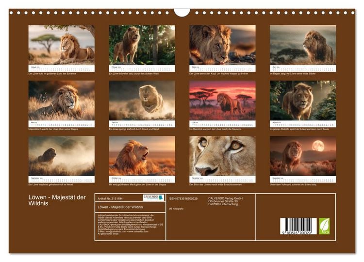 Produktbild: L&ouml;wen - Majest&auml;t der Wildnis (Wandkalender 2026 DIN A3 quer), CALVENDO Monatskalender
