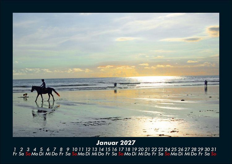 Produktbild: Pferde Kalender 2027 Fotokalender DIN A5