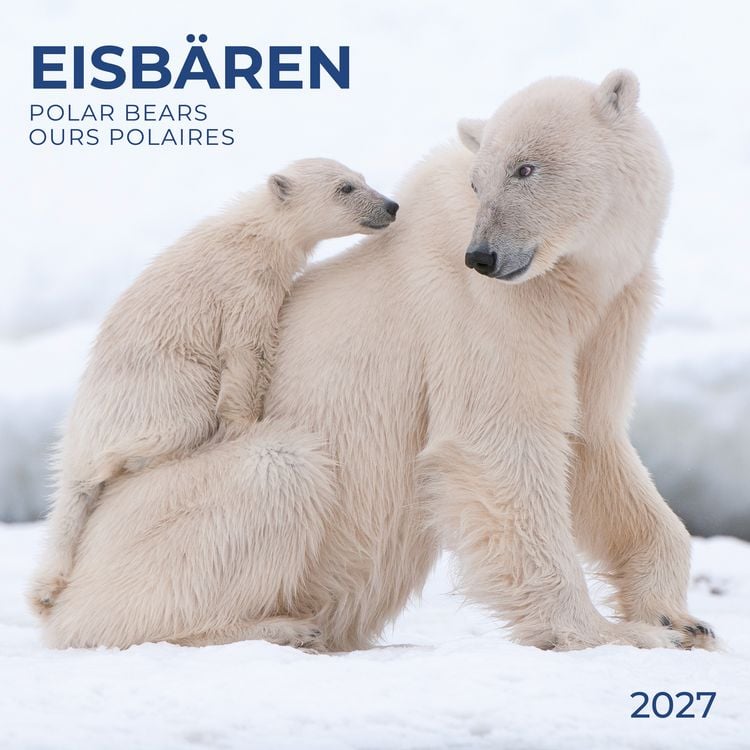 Produktbild: Eisb&auml;ren / Polar Bears 2027
