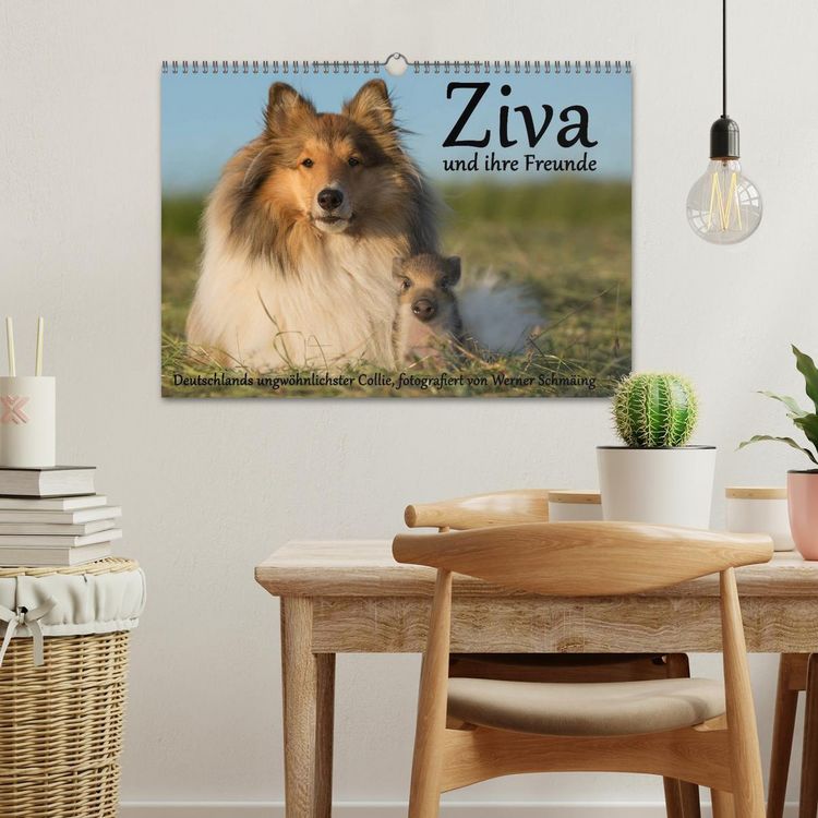 Produktbild: Ziva und ihre Freunde (Wandkalender 2026 DIN A3 quer), CALVENDO Monatskalender