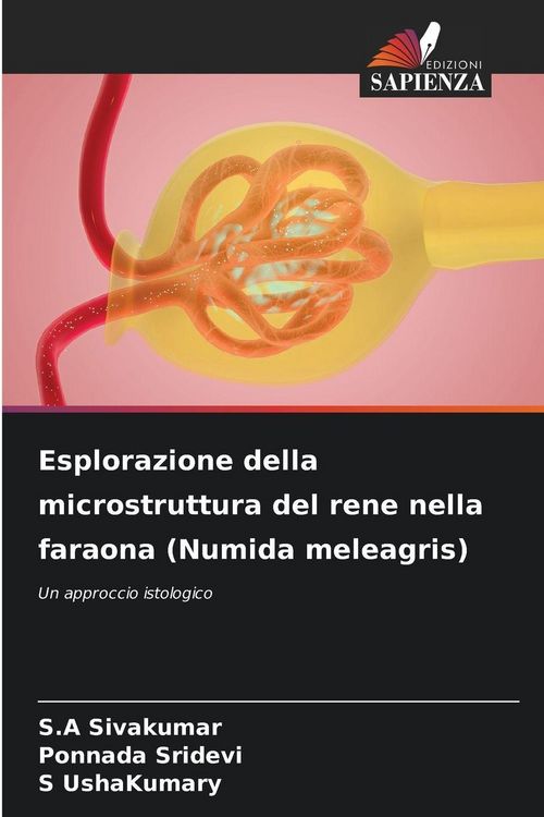 Produktbild: Esplorazione della microstruttura del rene nella faraona (Numida meleagris)