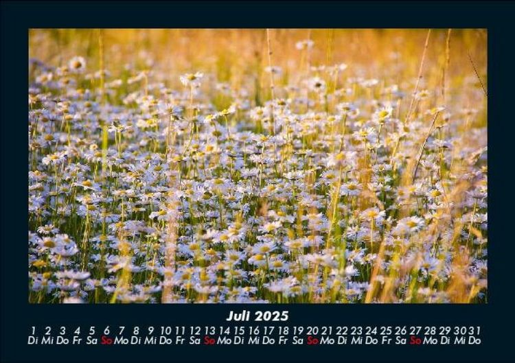 Produktbild: Bilder der Natur 2025 Fotokalender DIN A5