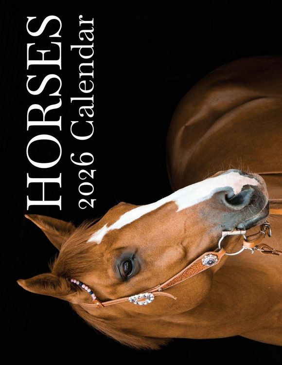 Produktbild: Horses 2026 Calendar