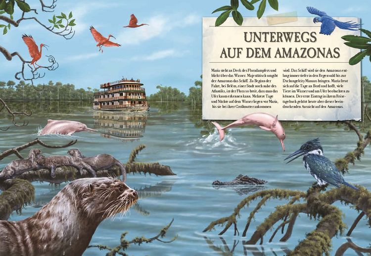 Produktbild: Verborgene Welt des Regenwaldes