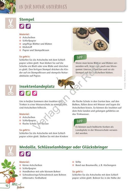Produktbild: Paket: Heimische B&auml;ume