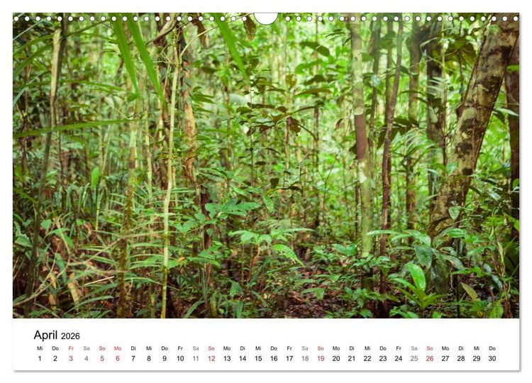 Produktbild: Mythos Amazonas - Naturparadies Brasiliens (Wandkalender 2026 DIN A3 quer), CALVENDO Monatskalender