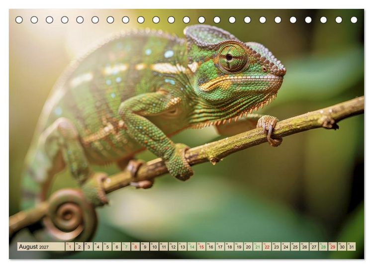 Produktbild: Die buntesten Tiere - Weltweit (Tischkalender 2027 DIN A5 quer), CALVENDO Monatskalender