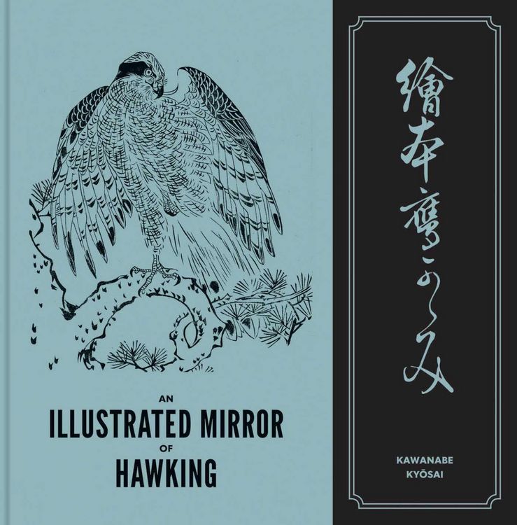 Produktbild: An Illustrated Mirror of Hawking