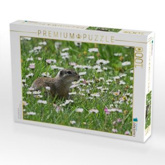Produktbild: CALVENDO Puzzle Immer wieder lecker | 1000 Teile Lege-Gr&ouml;&szlig;e 64x48cm Foto-Puzzle f&uuml;r gl&uuml;ckliche Stunden