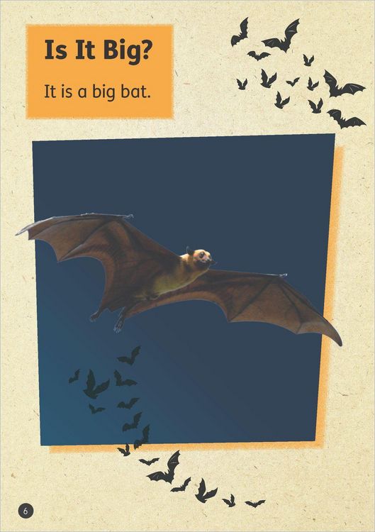 Produktbild: Set 02 - Bat