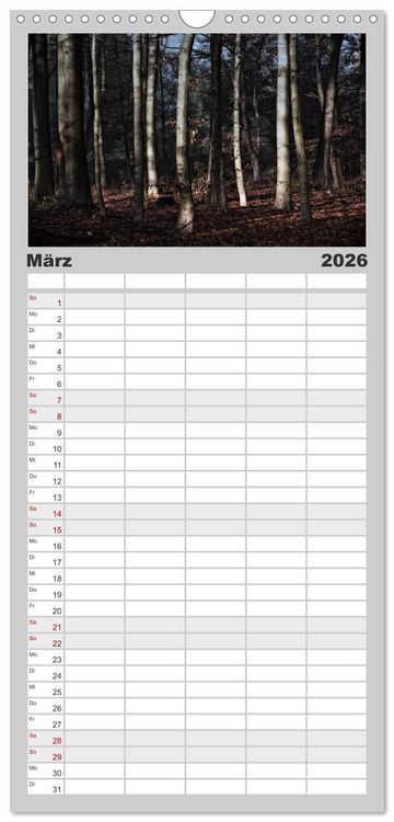 Produktbild: Familienplaner 2026 - Mystische W&auml;lder mit 5 Spalten (Wandkalender, 21 x 45 cm) CALVENDO