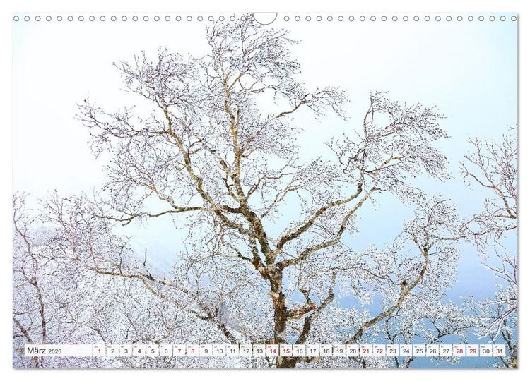 Produktbild: Wildes Japan - Hokkaido im Winter (Wandkalender 2026 DIN A3 quer), CALVENDO Monatskalender