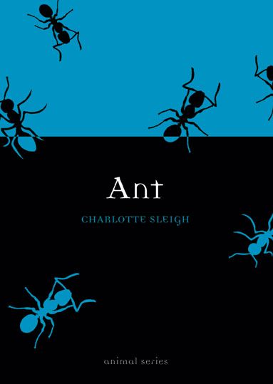 Produktbild: Sleigh, C: Ant