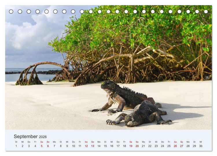 Produktbild: Entdecke Galapagos (Tischkalender 2026 DIN A5 quer), CALVENDO Monatskalender