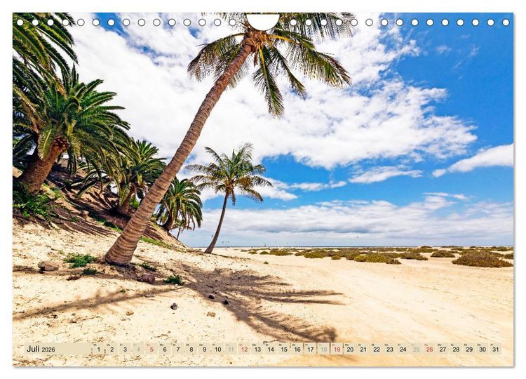 Produktbild: FUERTEVENTURA - Inselblick (Wandkalender 2026 DIN A4 quer), CALVENDO Monatskalender