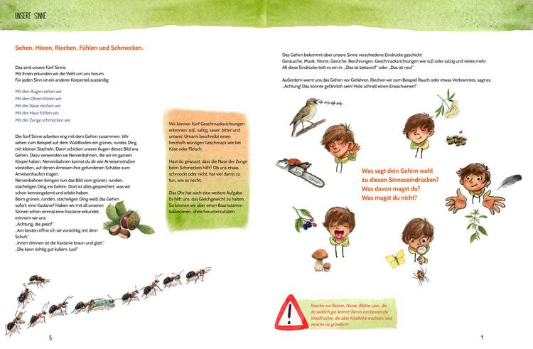 Produktbild: Erlebe den Wald mit allen Sinnen