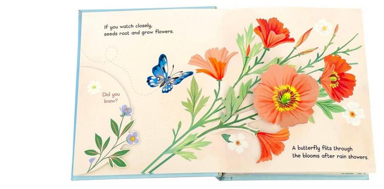 Produktbild: Little Book of Flowers