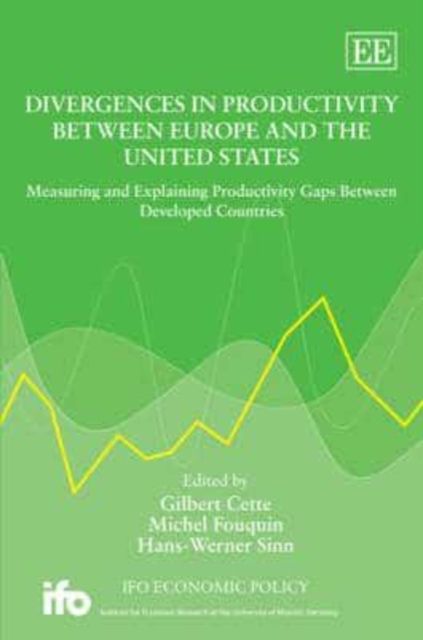 Produktbild: Divergences in Productivity Between Europe and the United S
