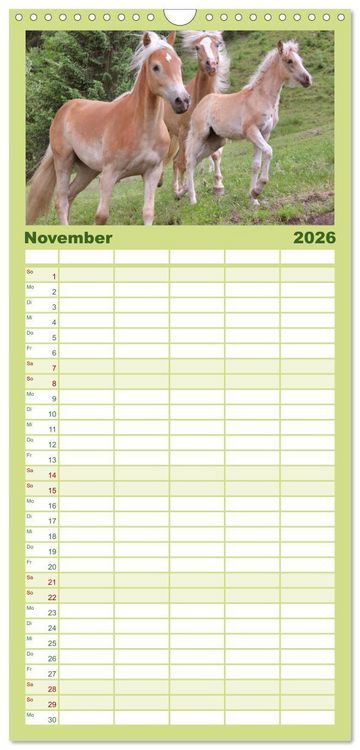 Produktbild: Familienplaner 2026 - Alpenpferde mit 5 Spalten (Wandkalender, 21 x 45 cm) CALVENDO
