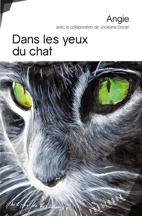Produktbild: Dans les yeux du chat