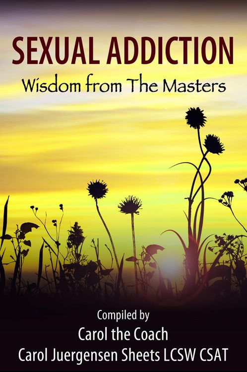 Produktbild: Sexual Addiction: Wisdom from The Masters