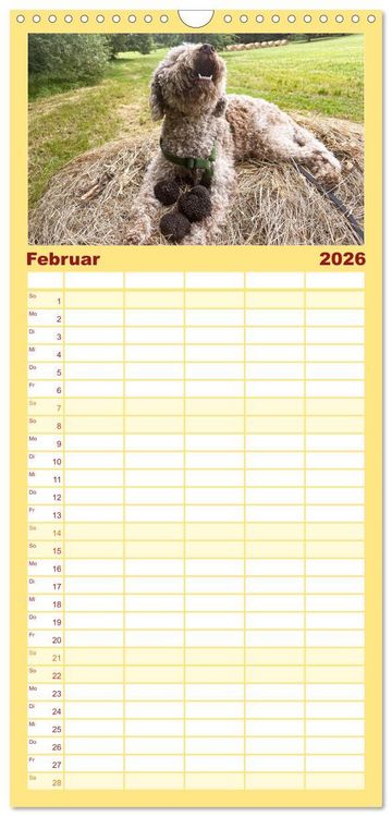 Produktbild: Familienplaner 2026 - Franz&ouml;sische Tr&uuml;ffelwelten mit 5 Spalten (Wandkalender, 21 x 45 cm) CALVENDO