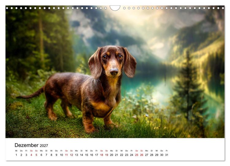 Produktbild: Herzensbrecher - Ein Jahr mit Dackeln (Wandkalender 2027 DIN A3 quer), CALVENDO Monatskalender