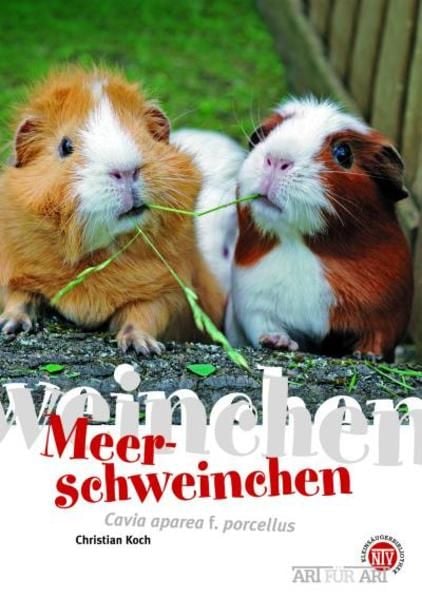 Produktbild: Meerschweinchen
