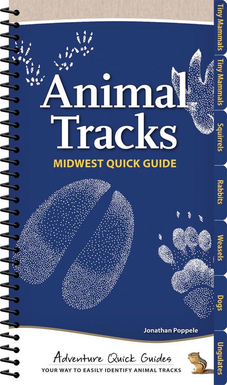 Produktbild: Animal Tracks of the Midwest