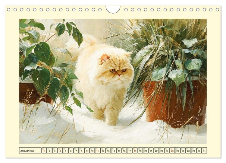 Produktbild: Perserkatzen. Flauschige Momente in kunstvoller &Ouml;loptik (Wandkalender 2026 DIN A4 quer), CALVENDO Monatskalender