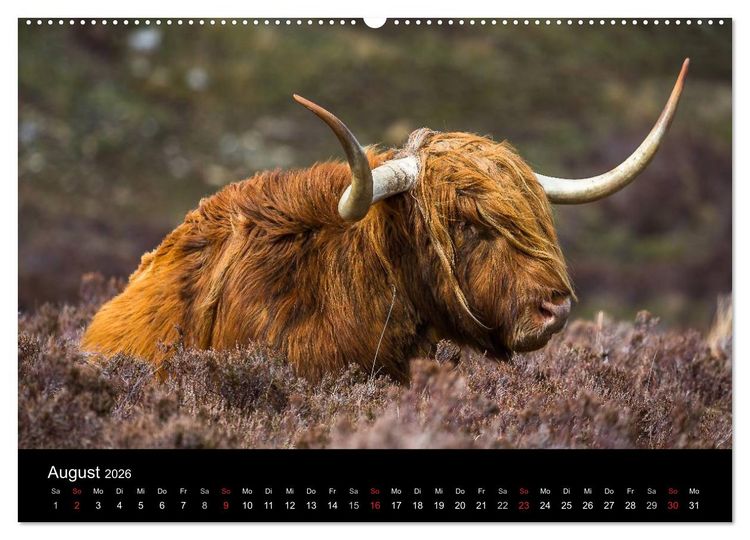 Produktbild: Schottland - Die wundervolle Isle of Skye (Wandkalender 2026 DIN A2 quer), CALVENDO Monatskalender
