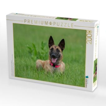 Produktbild: CALVENDO Puzzle Ein Motiv aus dem Kalender Traumhund Malinois | 2000 Teile Lege-Gr&ouml;&szlig;e 90x67cm Foto-Puzzle f&uuml;r gl&uuml;ckliche Stunden