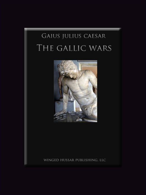 Produktbild: Gallic Wars