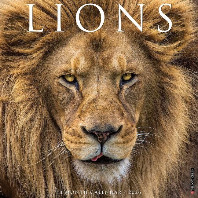 Produktbild: Lions 2026 Wall Calendar