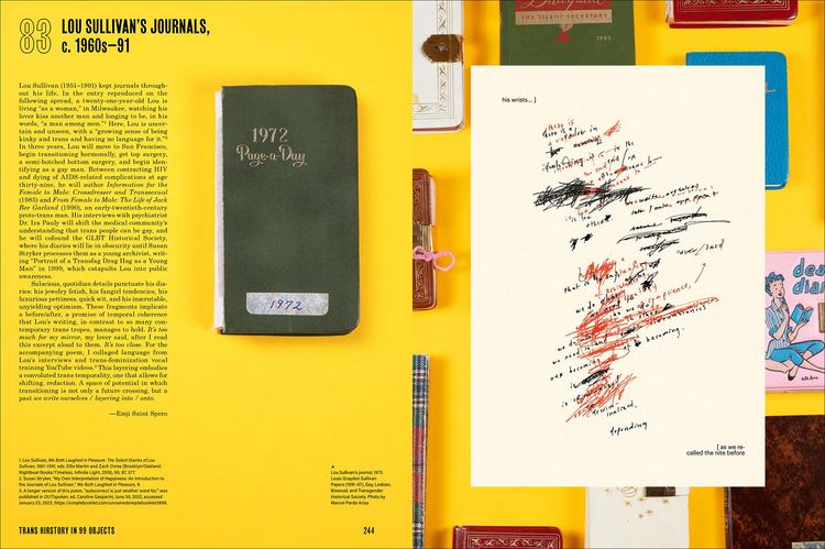 Produktbild: Trans Hirstory in 99 Objects