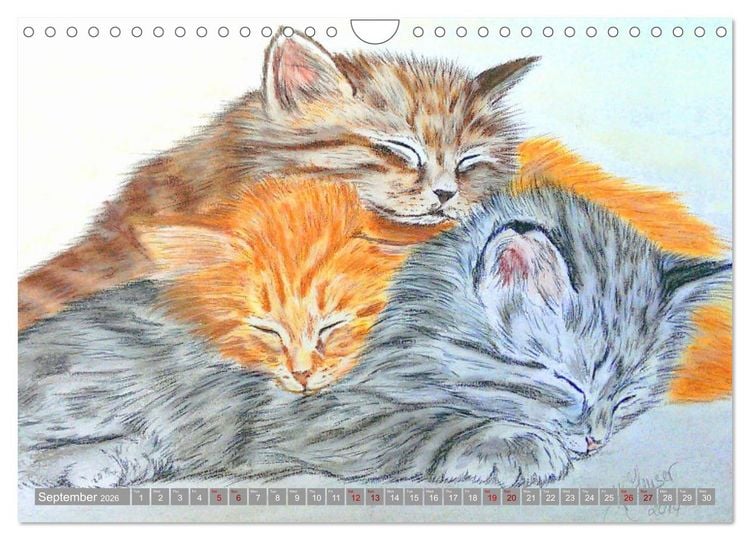 Produktbild: Beautiful cat portraits (Wall Calendar 2026 DIN A4 landscape), CALVENDO 12 Month Wall Calendar