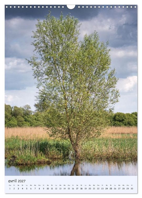 Produktbild: Arbres solitaires (Calendrier mural 2027 DIN A3 horizontal), CALVENDO calendrier mensuel