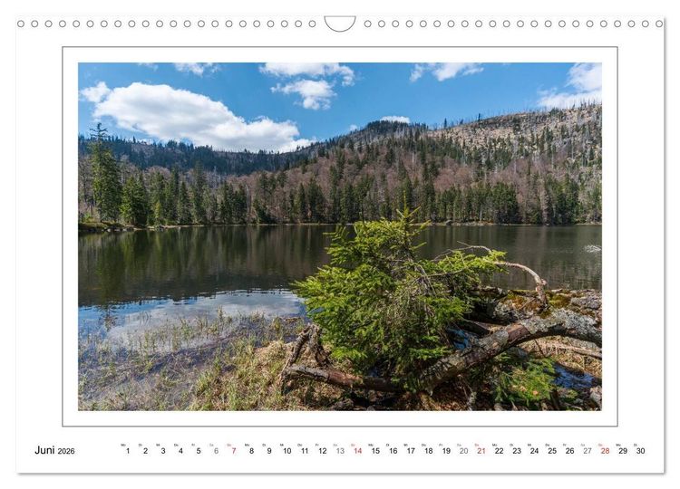 Produktbild: Unterwegs im Bayerischen Wald (Wandkalender 2026 DIN A3 quer), CALVENDO Monatskalender