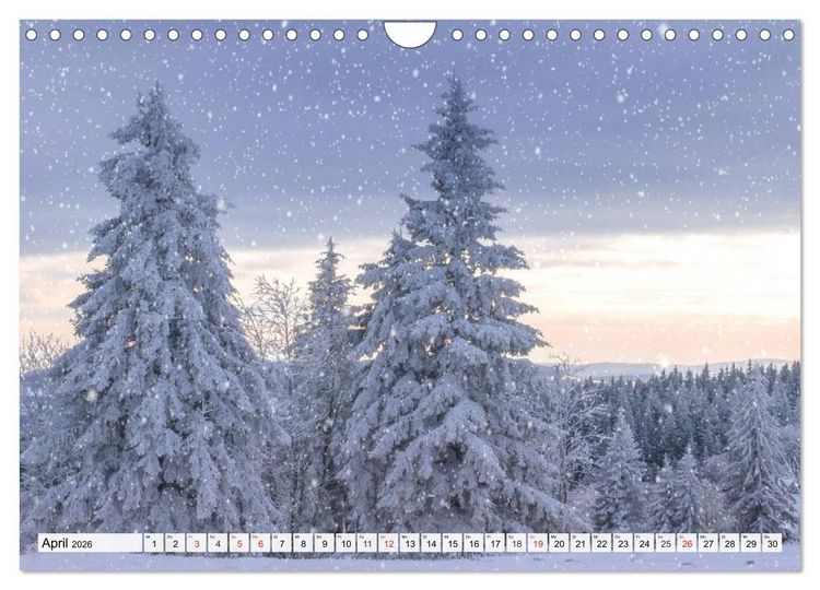 Produktbild: Eiszeit. Winter und Frost in der Natur (Wandkalender 2026 DIN A4 quer), CALVENDO Monatskalender