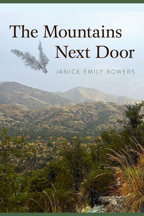 Produktbild: The Mountains Next Door