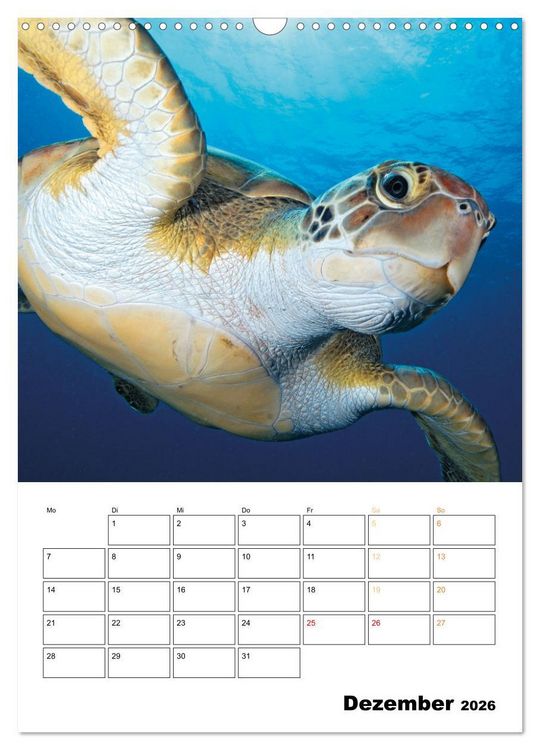 Produktbild: Wunderbare Wasserwelt der Meeresschildkr&ouml;ten (Wandkalender 2026 DIN A3 hoch), CALVENDO Monatskalender