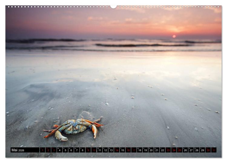 Produktbild: Sankt Peter Ording Sandstrand (hochwertiger Premium Wandkalender 2026 DIN A2 quer), Kunstdruck in Hochglanz