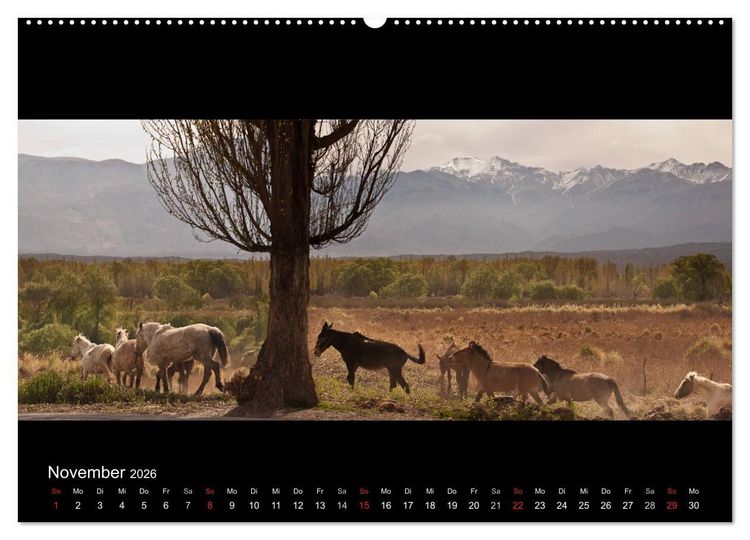 Produktbild: Patagonien - Ungez&auml;hmtes Land (hochwertiger Premium Wandkalender 2026 DIN A2 quer), Kunstdruck in Hochglanz