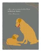 Produktbild: Positively Green Greeting Cards: Father's Day - There are as many kinds of love as (Pack of 6)