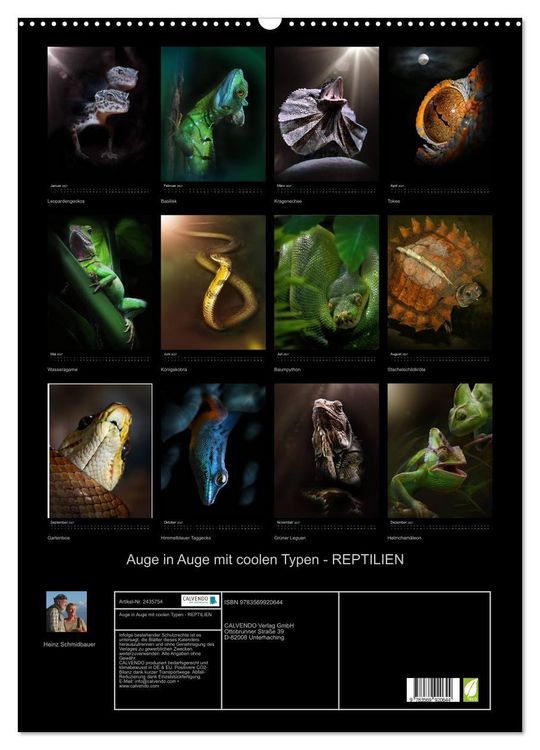 Produktbild: Auge in Auge mit coolen Typen - REPTILIEN (Wandkalender 2027 DIN A2 hoch), CALVENDO Monatskalender