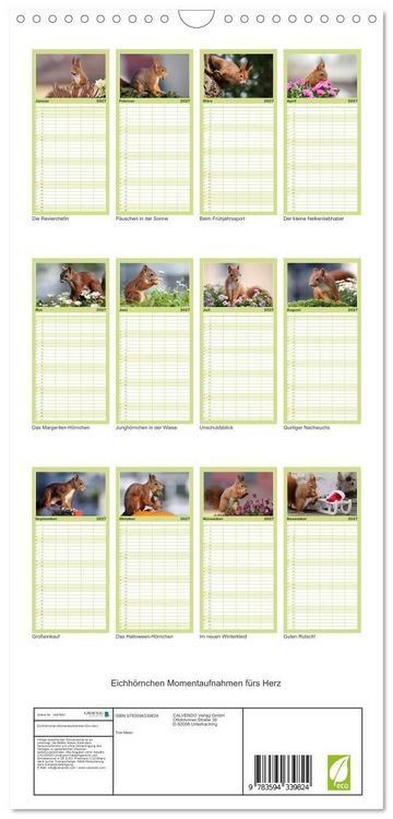 Produktbild: Familienplaner 2027 - Eichh&ouml;rnchen Momentaufnahmen f&uuml;rs Herz mit 5 Spalten (Wandkalender, 21 x 45 cm) CALVENDO