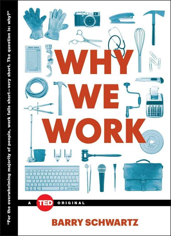 Bild vom Artikel Why We Work vom Autor Barry Schwartz