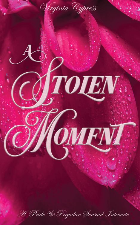 Produktbild: A Stolen Moment: A Pride and Prejudice Sensual Intimate Novella (Elizabeth's Dark Secret, #1)