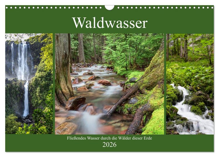 Produktbild: Waldwasser (Wandkalender 2026 DIN A3 quer), CALVENDO Monatskalender