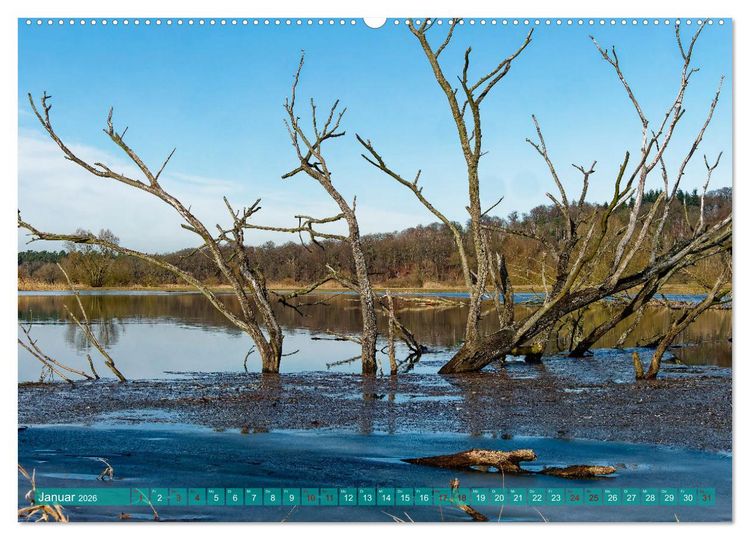 Produktbild: Flusslandschaft Elbe (Wandkalender 2026 DIN A2 quer), CALVENDO Monatskalender